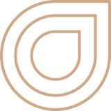 15 Sept 2025, Dubai Marina