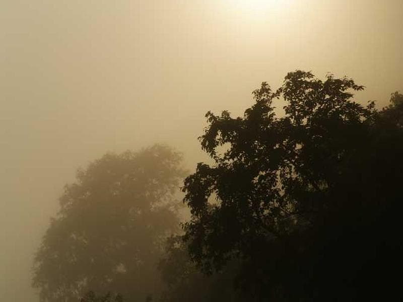 Luxurious Ergonomic Concrete Table