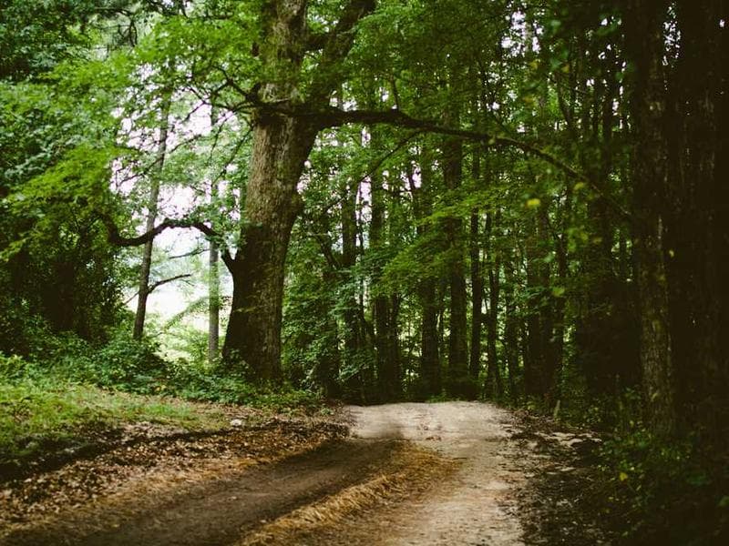 Oriental Practical Ceramic Table