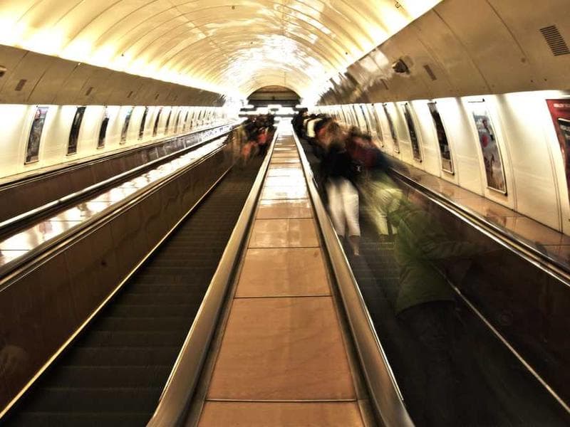 Soft Handcrafted Marble Fish