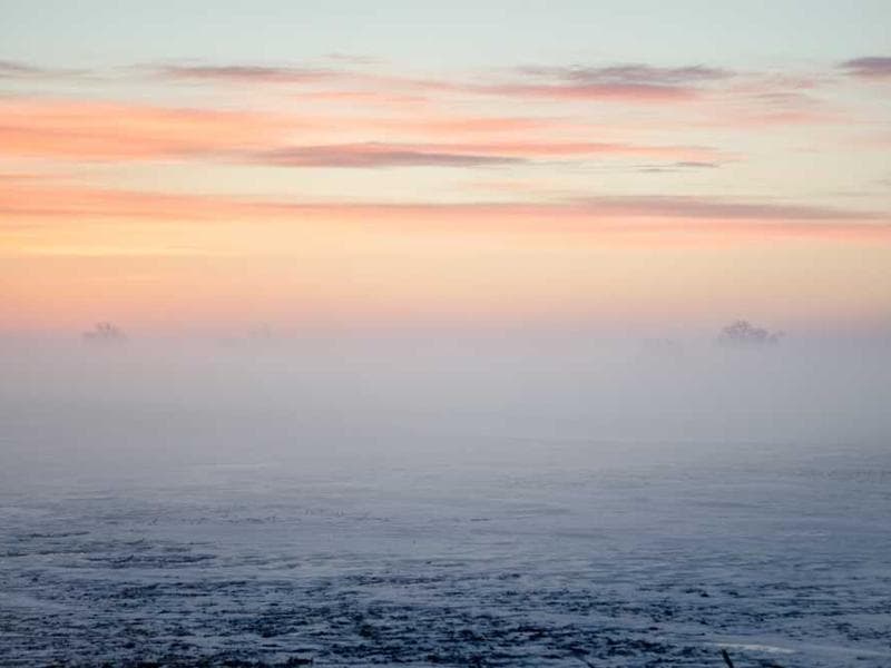 Soft Handcrafted Marble Fish