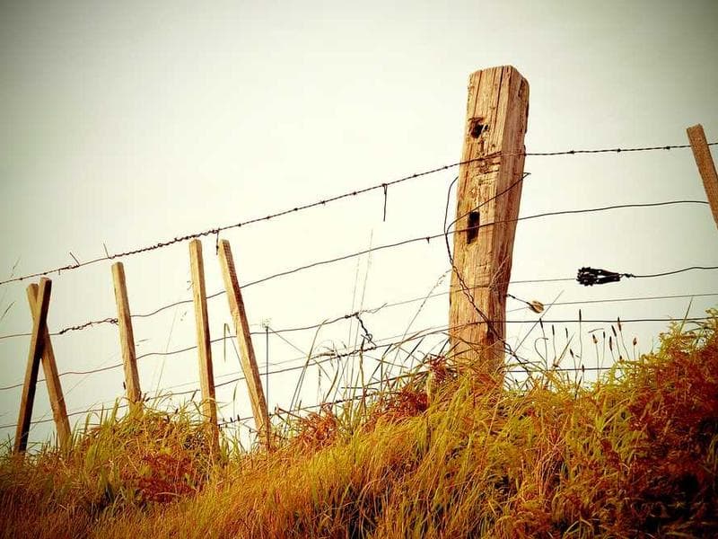 Oriental Generic Concrete Shirt