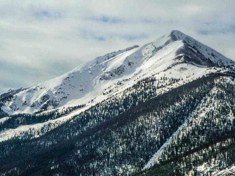 Oriental Generic Concrete Shirt
