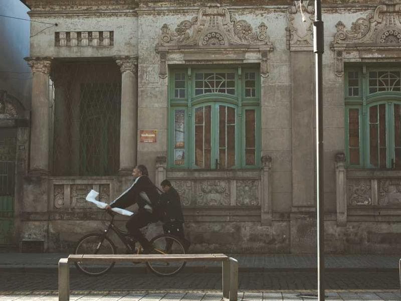 Soft Unbranded Silk Pizza