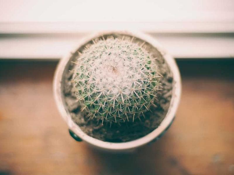 Oriental Handmade Concrete Table