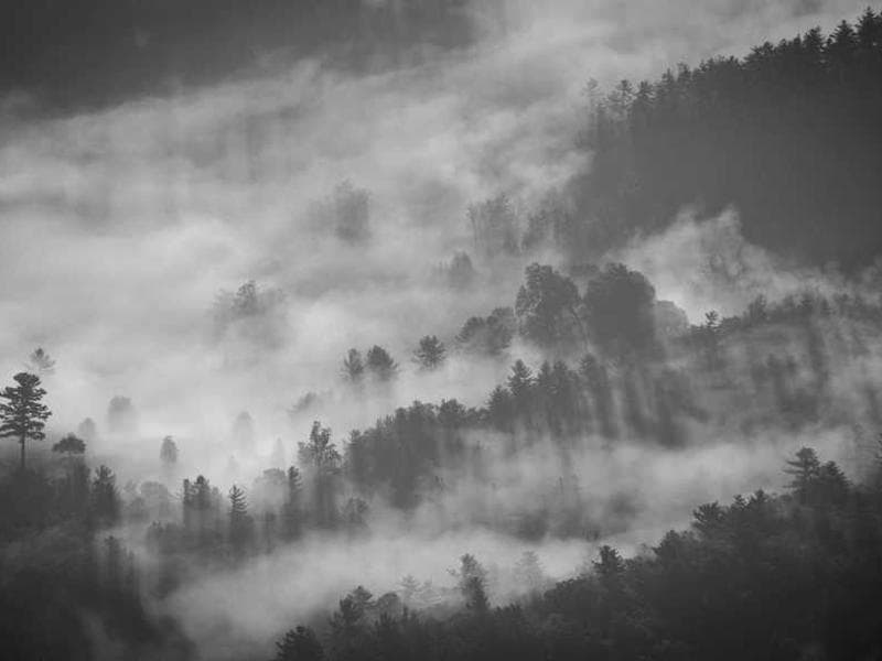 Bespoke Frozen Cotton Gloves