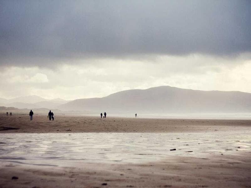 Awesome Oriental Bamboo Car