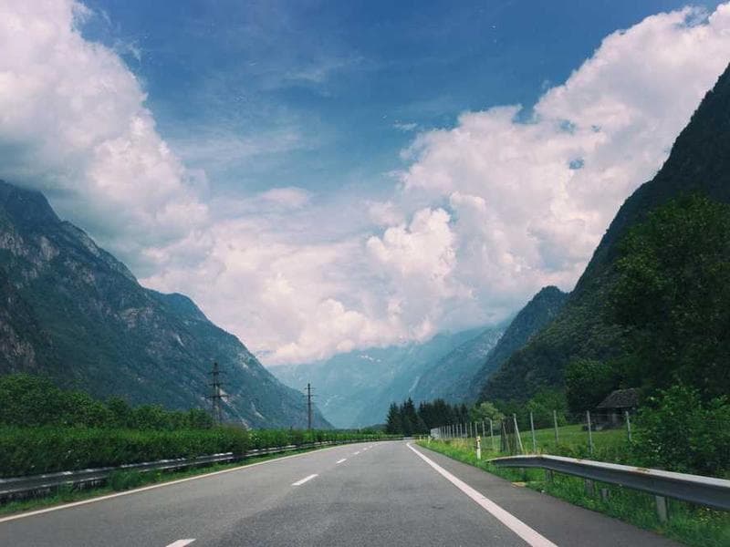 Elegant Licensed Cotton Gloves