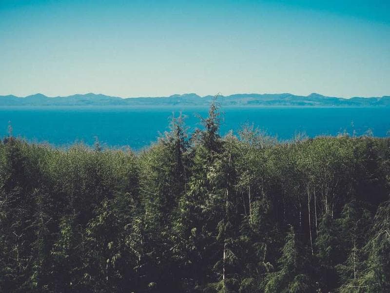 Frozen Small Bronze Shirt