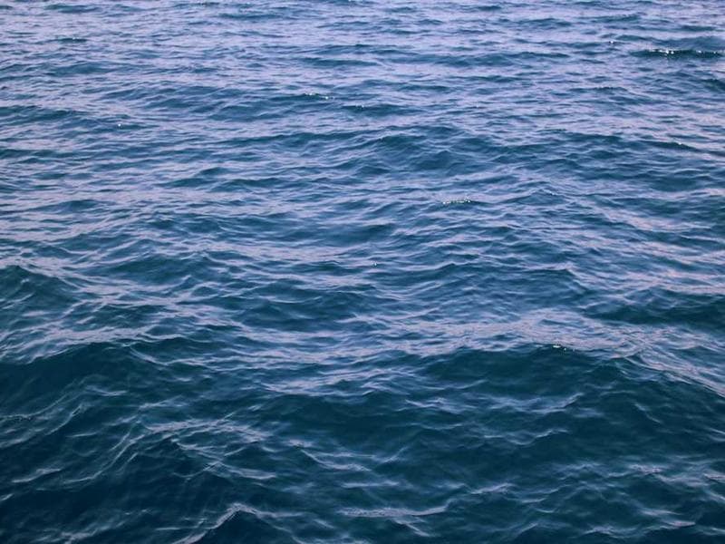 Frozen Small Cotton Keyboard