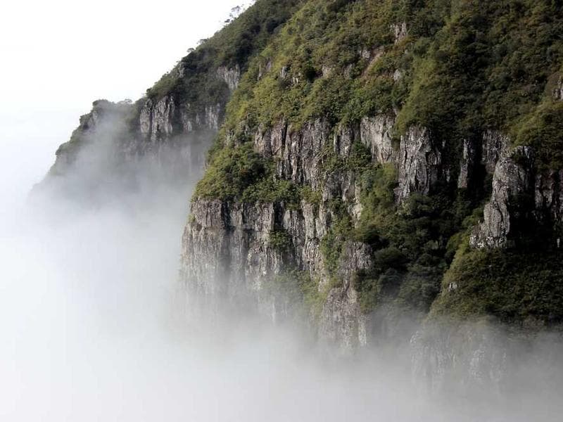 Bespoke Refined Cotton Shirt