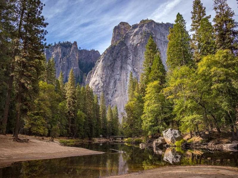 Refined Licensed Cotton Shoes