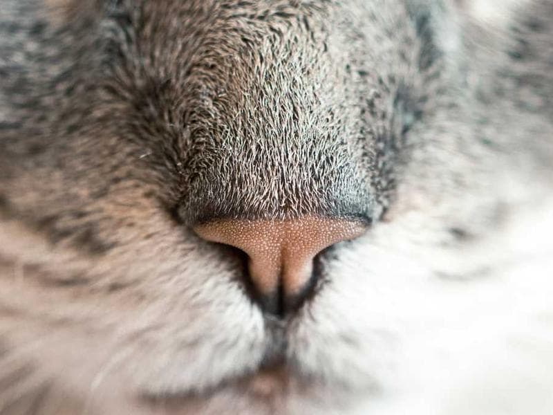 Elegant Practical Ceramic Hat