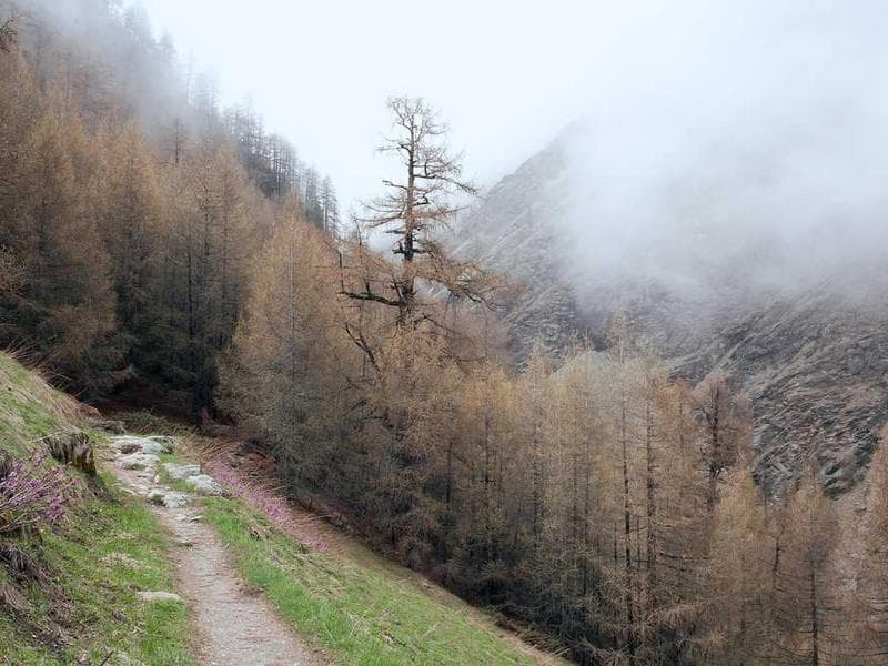 Unbranded Frozen Marble Table