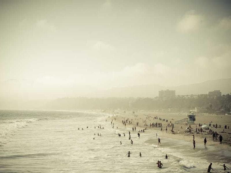 Tasty Recycled Ceramic Mouse