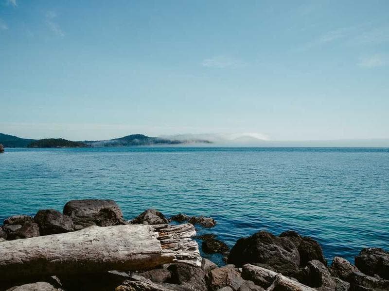 Handcrafted Modern Wooden Pants