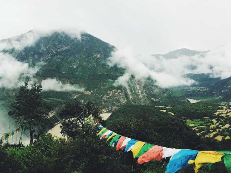 Handcrafted Modern Wooden Pants