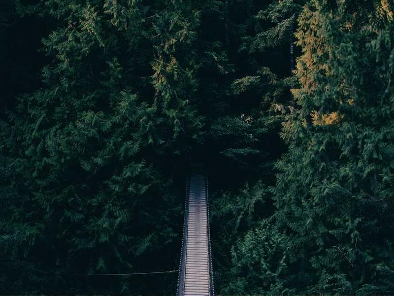 Electronic Soft Wooden Car