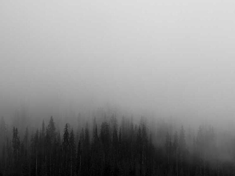 Modern Handcrafted Concrete Towels