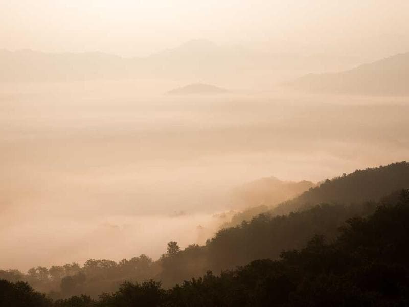 Recycled Sleek Silk Sausages