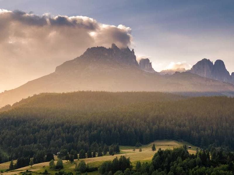 Oriental Unbranded Rubber Sausages