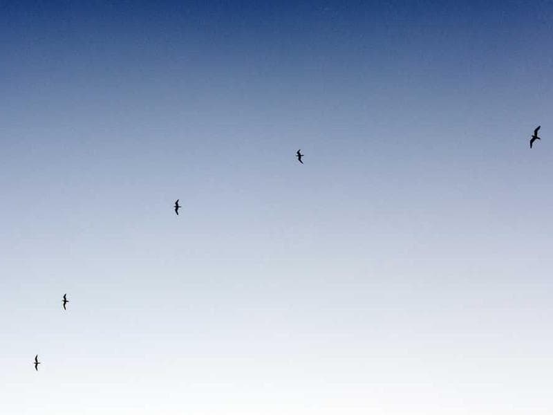 Sleek Recycled Bronze Chips