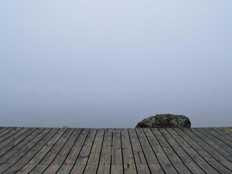 Frozen Unbranded Silk Chips