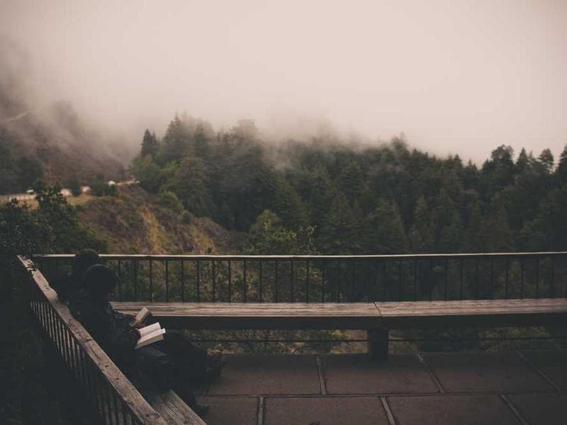 Frozen Unbranded Silk Chips