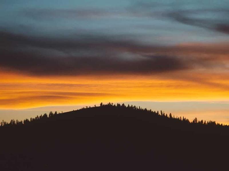 Unbranded Electronic Wooden Bacon