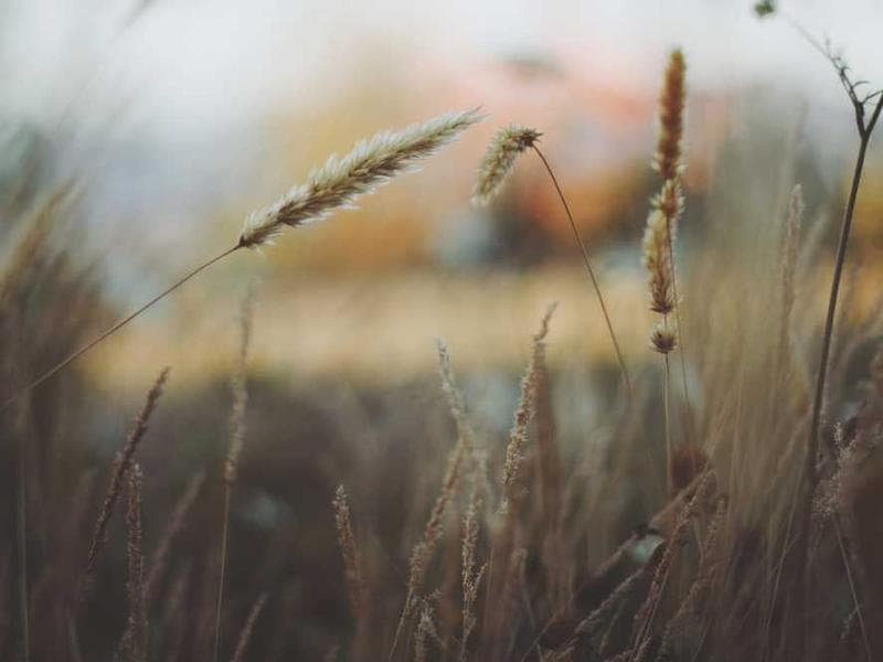 Handmade Incredible Silk Hat