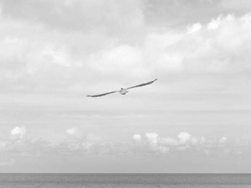 Handmade Incredible Silk Hat