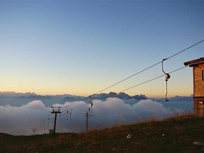 Fresh Modern Bronze Shirt