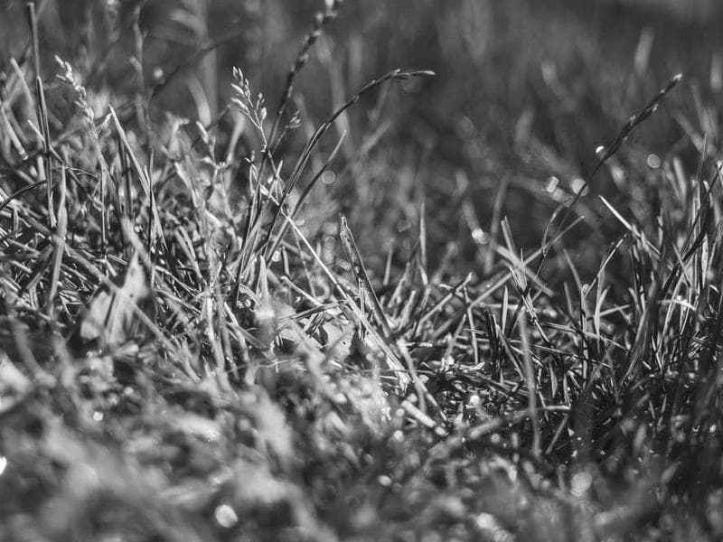 Unbranded Awesome Steel Chair