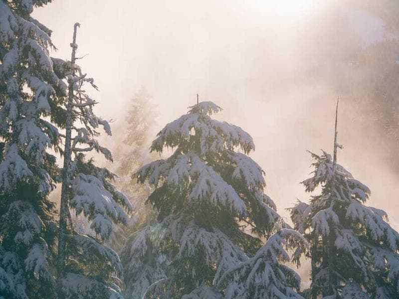 Unbranded Awesome Steel Chair