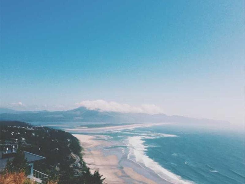 Sleek Fresh Silk Cheese