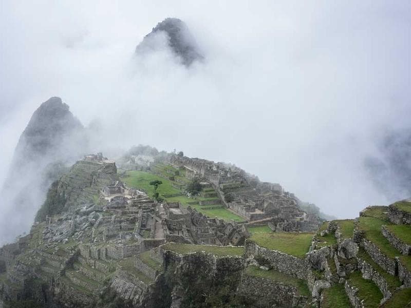 Sleek Handmade Bamboo Chips