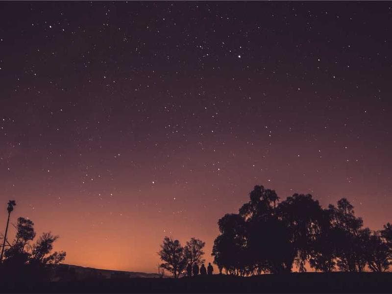 Recycled Generic Bronze Cheese