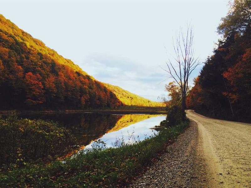 Unbranded Tasty Granite Cheese