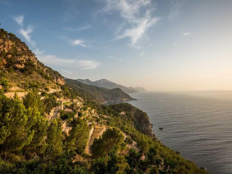 Unbranded Tasty Granite Cheese