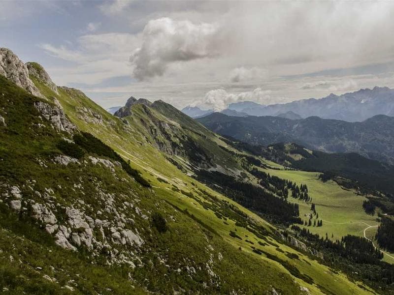 Incredible Refined Marble Mouse