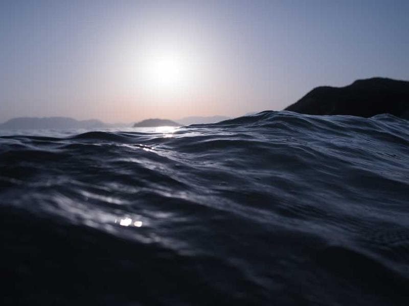 Frozen Bespoke Metal Fish