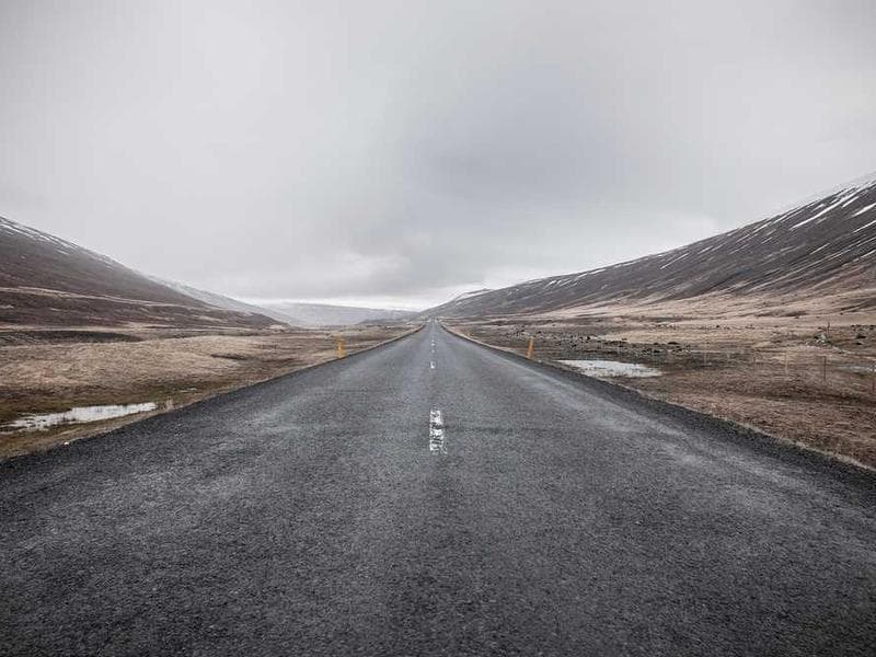 Frozen Bespoke Metal Fish