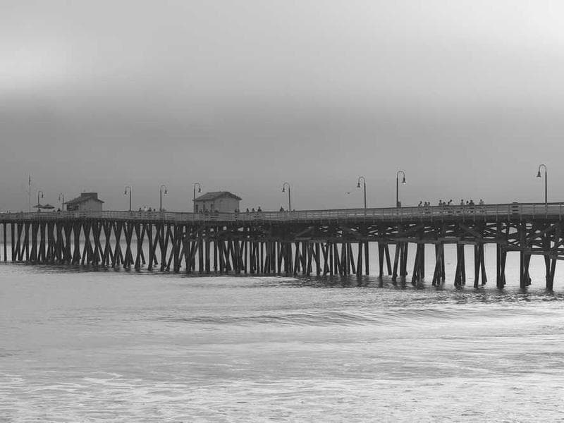 Frozen Bespoke Metal Fish