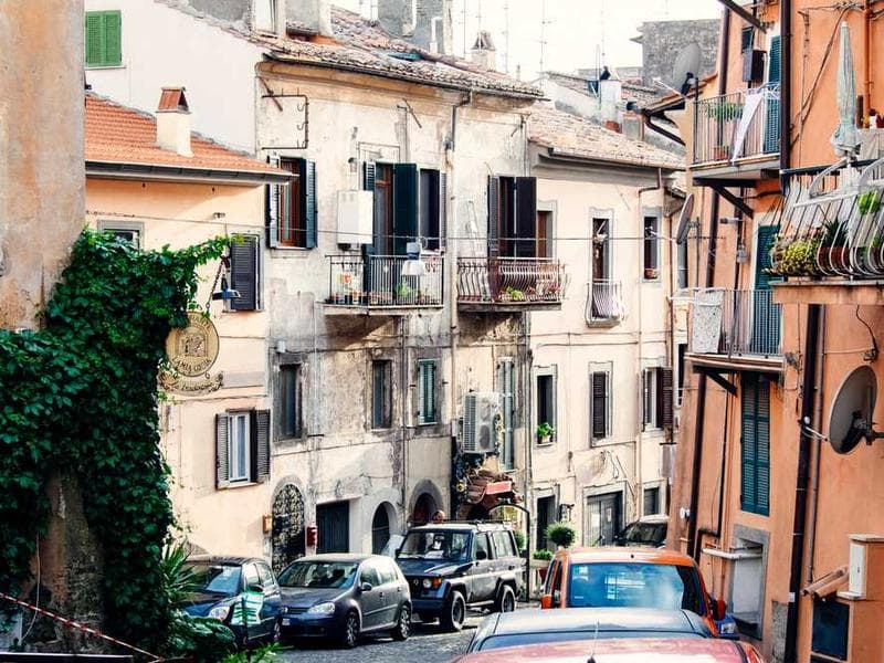 Frozen Bespoke Metal Fish