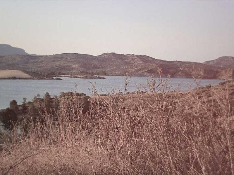 Practical Electronic Cotton Computer