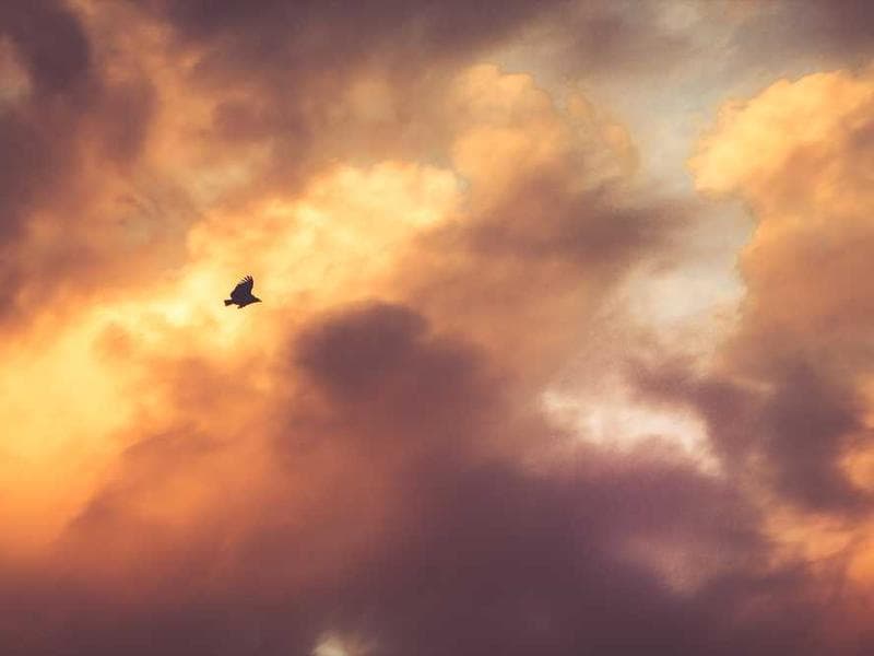 Intelligent Fresh Bronze Bike