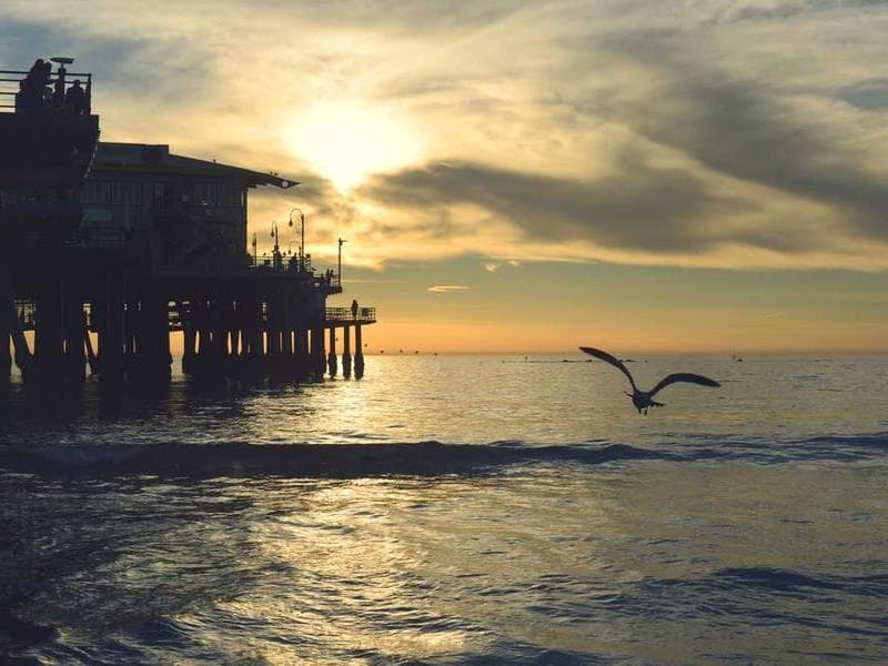 Intelligent Fresh Bronze Bike