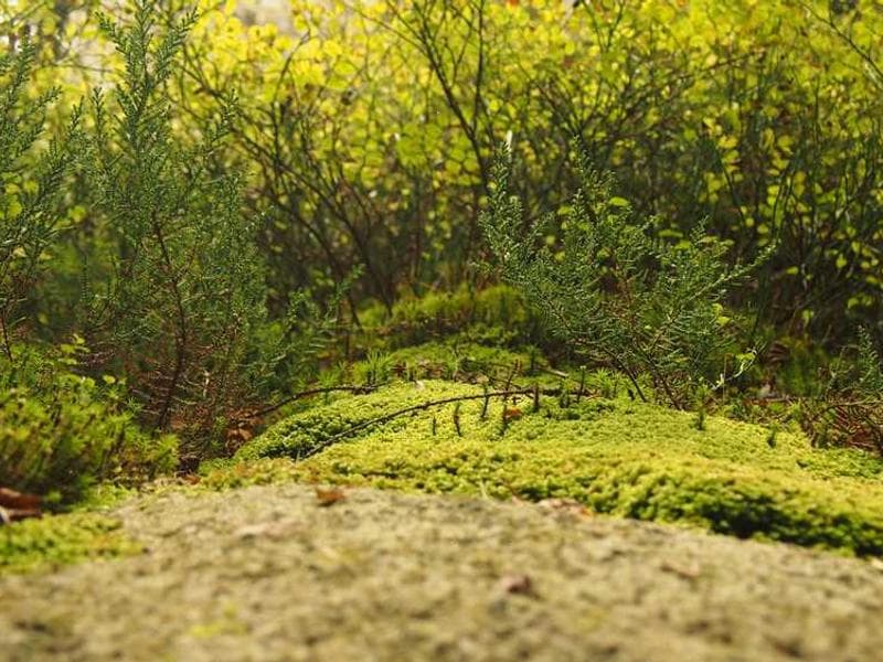 Practical Sleek Aluminum Towels