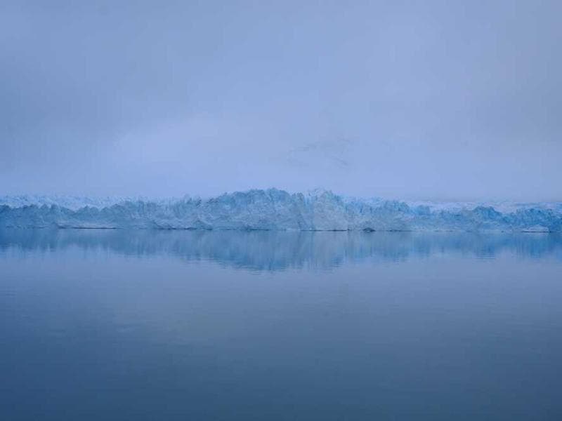 Incredible Sleek Bamboo Chair