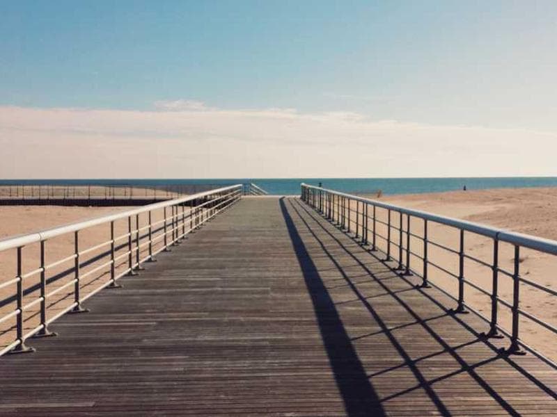 Soft Frozen Wooden Sausages